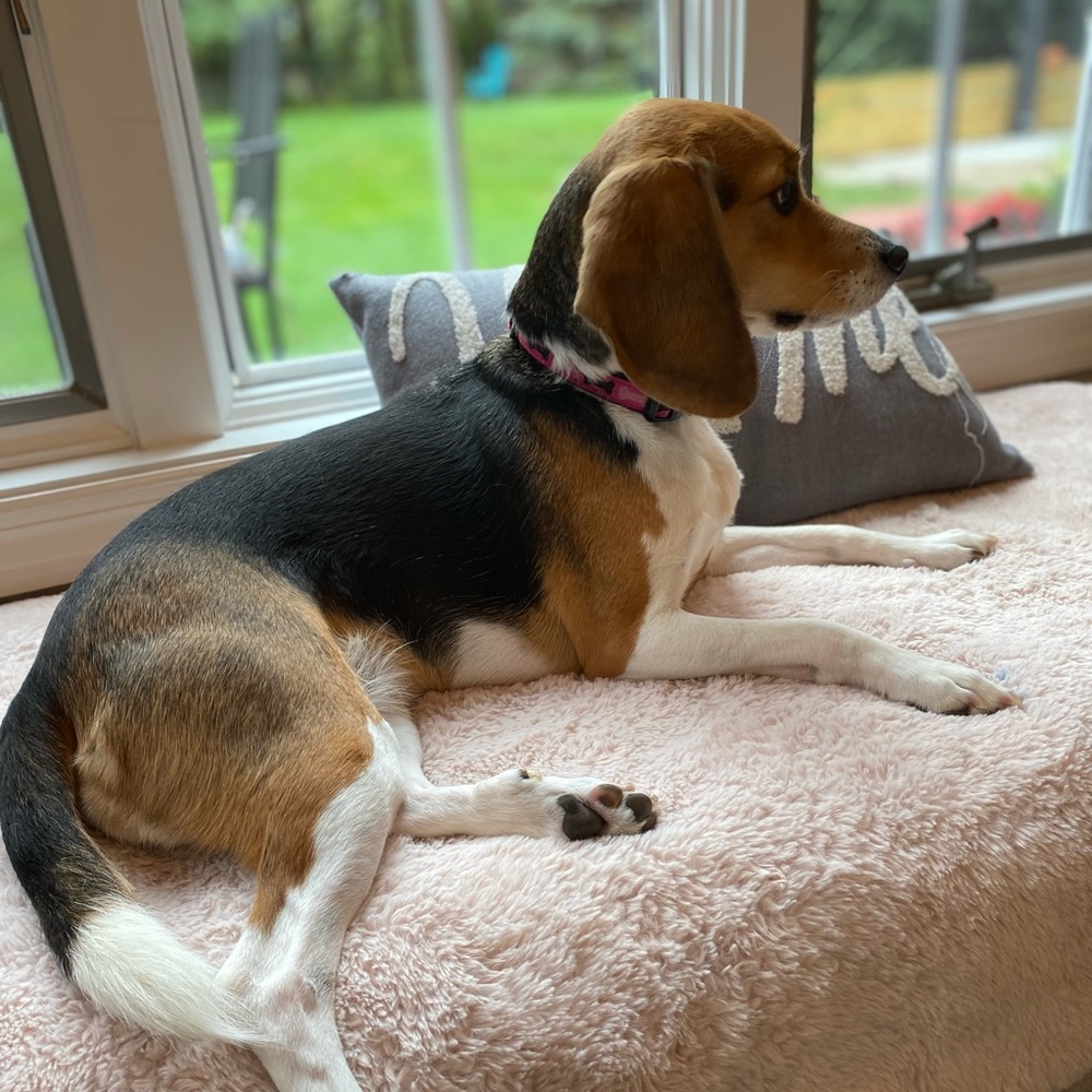 Meet your Posher, Jen